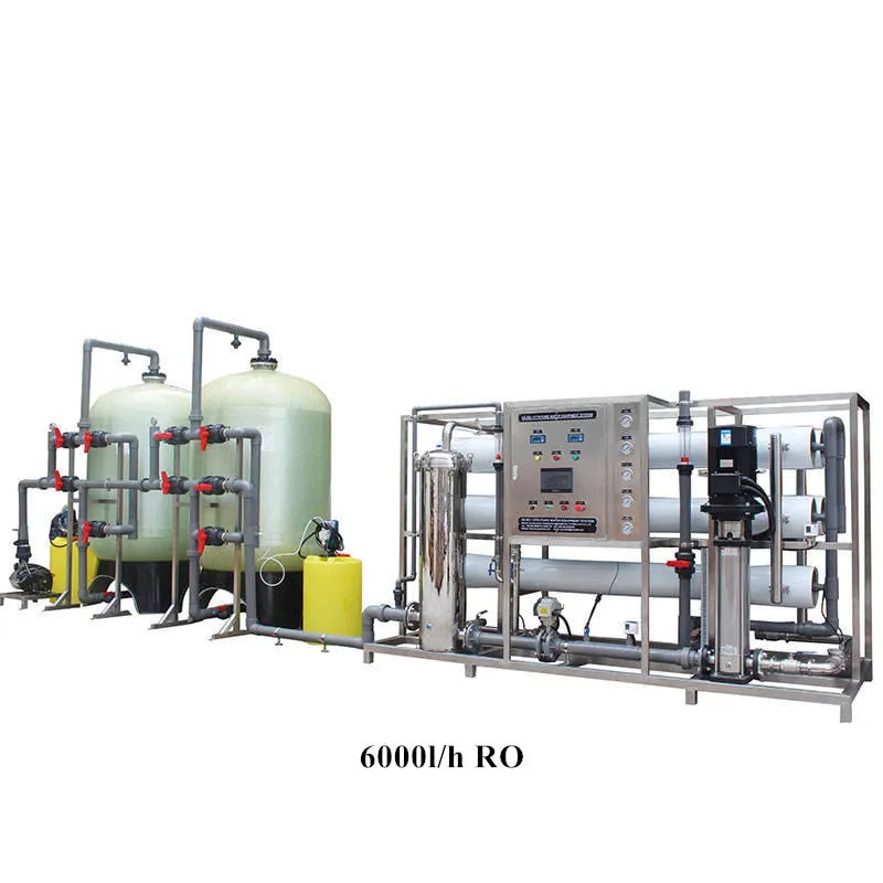6T/H High-Efficiency  Industrial RO Water Purifier System with PLC & Motor